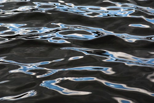 Water Detail, Upland Pond, Sussex County, NJ 09 07 (6918SA).jpg Water Detail, Upland Pond, Sussex County, NJ 09 07 (6918SA).jpg